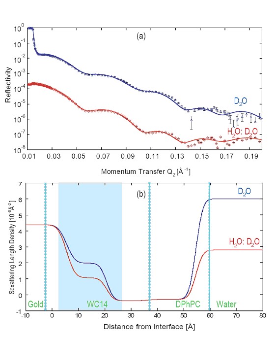 reflectometry data and scattering profile