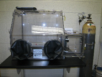 Coy Lab Basic Glove Box