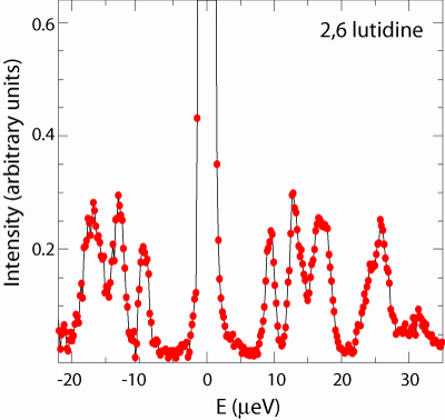 Tunneling spectrum of 2,6 lutidine