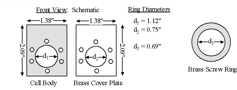 The Polymer Cells